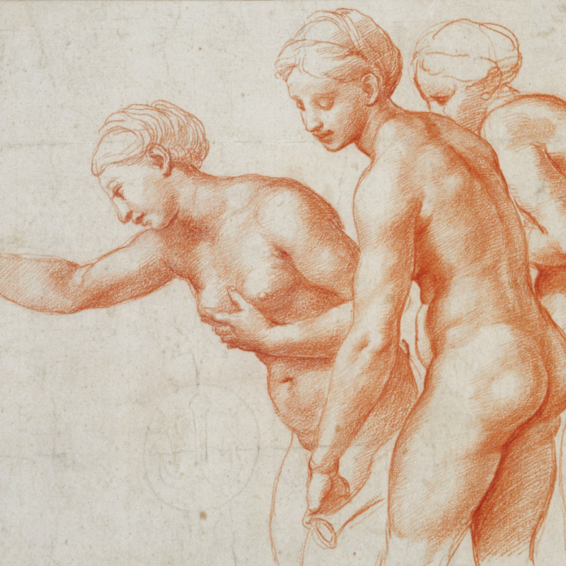 Raphael and everyone: 7 stories about the artist's relationship with his  famous contemporaries