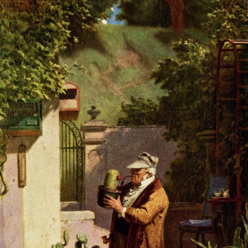 Buy digital version: Butterfly catcher. Fragment by Karl Spitzweg